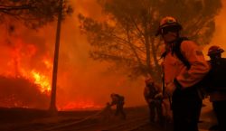 Infierno en Los Ángeles: miles de evacuados por incendios forestales