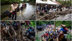 Cómo es y qué pasa en la selva del Darién:…